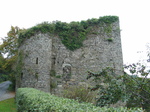24018 Castle near Kinsale.jpg